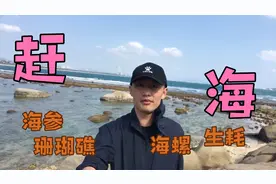 三亚后海村，和当地渔民一起赶海，收获满满，惊喜不断视频封面