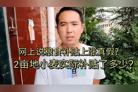 农村小伙带大家看一下2亩小麦补贴到底发了多少钱？今年涨了吗？视频封面