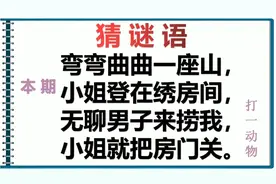 谜语：弯弯曲曲一座山，小姐登在绣房间，无聊男子捞……打一动物视频封面