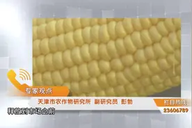 比普通玉米甜，水果玉米是转基因的吗？听听专家怎么说视频封面