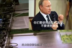 俄罗斯建议金砖国家不要使用美元！并向人民币抛出了橄榄枝视频封面