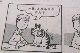 011 加菲猫的指甲被剪掉了。没有了指甲的猫会变成什么样呢？