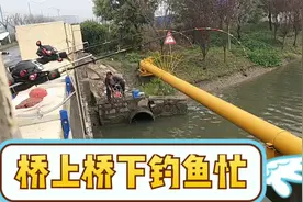 上海这边桥梁很多，到处都用桥笺竿来钓鱼，去看看