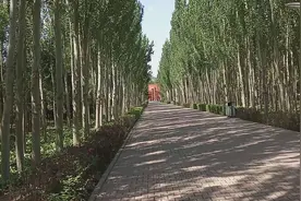 包头的城市绿肺，阿尔丁植物园，仿佛进了一片天然大森林视频封面