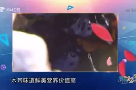 真相123：木耳炒鸡蛋咋就成了“绝命菜”？一起来看这组实验吧视频封面