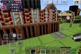 你从末见过的mc，贴图错误了！