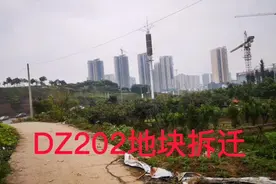 大竹这块地拆迁，西渝高铁大竹站也招标设计了，真的是可喜可贺。视频封面