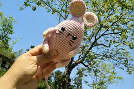 钩针编织结婚娃娃材料包里都有什么，秋秋说害怕没信心做好怎么办
