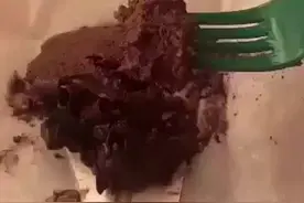 前方高能！请注意避让！⚠！️⚠️！⚠️！