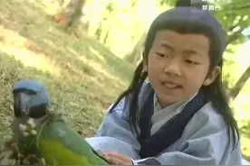小男孩对鹦鹉说长大后娶它做妻子，没想到鹦鹉真变成了人视频封面