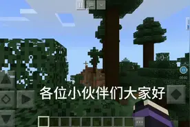 我的世界手机版:全mc最富有的种子视频封面