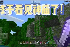 我的世界:第一次看见丛林神庙，看看里面都有什么东西视频封面