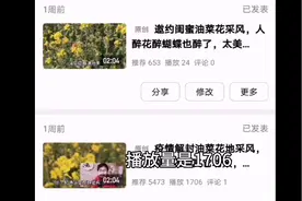 多人被误导，灵犬反低俗助手真的能增加推荐量哪，亲测结果.…视频封面