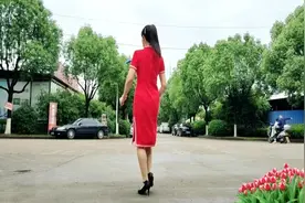 时下流行的广场舞《情花毒》背面分解 不怕学不会视频封面