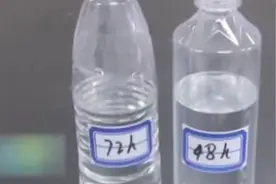 久置白开水有“毒”吗？白开水什么时间段内最卫生？实验来解惑