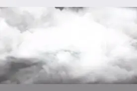 武汉病毒研究所石正丽追踪SARS病毒的来源视频封面