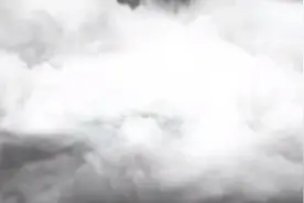 武汉病毒研究所石正丽追踪SARS病毒的来源视频封面