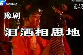 豫剧《泪洒相思地》全剧视频封面