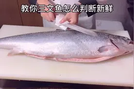 厨师长教你，三文鱼怎么判断才新鲜，接上个视频三文鱼详细分割