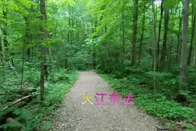 念奴娇·赤壁怀古 - 词：（宋）苏轼-江山如画，一时多少豪杰视频封面