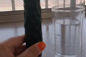 吃黄瓜“减肥”       吃个试试视频封面