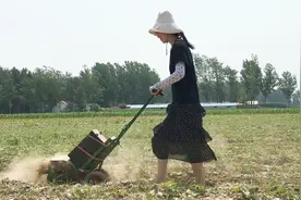 90分钟锄4亩地，农民大哥1320元网购的电动锄草机，大家看值吗？视频封面
