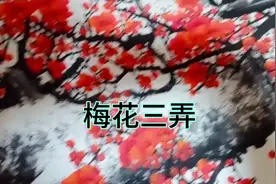 一首经典的《梅花三弄》分享(女版)视频封面