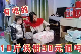 好运花了30元在广西买了十斤沃柑，老板说亏大了，下次不做我生意视频封面