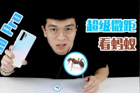 用华为P30 Pro超级微距拍摄蚂蚁，蚂蚁竟有六个眼睛，我没看错吧