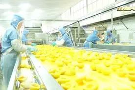 平邑地方镇：一个有“罐头”的地方，就有“地方”生产的罐头视频封面