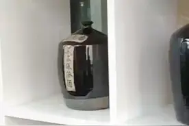 第一家私营股份制企业诞生视频封面