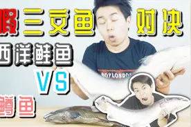 你吃的三文鱼都是真的吗？小伙买来巨型三文鱼告诉你真假！视频封面