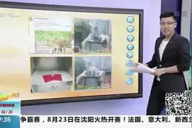 道歉有用么？范思哲T恤将香港澳门归为国家，道歉并称已下架销毁