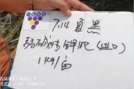 着色肥2号配方视频封面