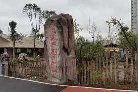 重庆沙坪坝陈家桥，丰文花梦香观光园，带大家看看怎么样！视频封面