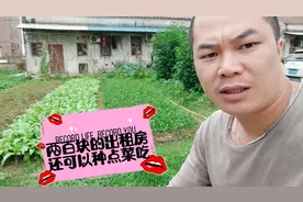 佛山三水，房租便宜还可以种菜，工资高消费便宜，象广西农村吗