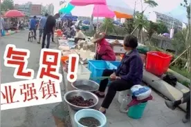 台州湾区要地，13万本外地人的工业强镇，浦坝港有新“人设”！视频封面