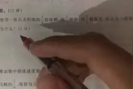 五年级数学下册期中测试卷解决问题，分数的应用视频封面