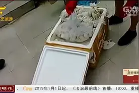 江西：网购蛇蛋孵出毒蛇，行李中窜出11条眼镜王蛇