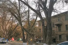 实拍兰州生物研究所家属楼，建于50年代，很老但并不破旧视频封面