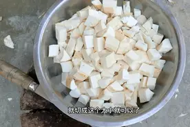 原来木薯淀粉是这样做出来的，很多人都没有见过，今天带大家看看视频封面