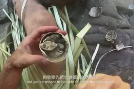 埃德把捡来的猴面包果用盐烤着吃 真香