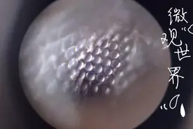 开箱显微镜领略微观世界，作为儿童科普类用具很好。视频封面