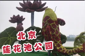 北京莲花池公园，紧邻西站，免费公园景色美，值得一去视频封面