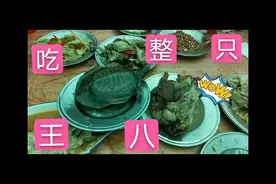 河南老家参加农村婚礼，酒席上小男孩抓起整只王八吃，惊呆众人视频封面