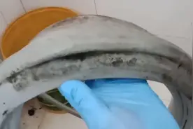 滚筒洗衣机门胶圈霉斑如何去除干净？胜哥分享教程