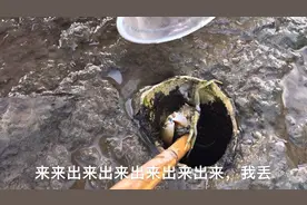 奉贤免费的自由敞开式海滩，适合自驾游，露营，烧烤，带娃抓蟹虾视频封面