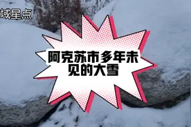 今年真的冷！新疆阿克苏多年未见的大雪，还一直在下着！视频封面