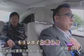 黄渤牵着狗狗蹭豪车，舒服的不想下车了，长得像孙红雷，脾气也像视频封面