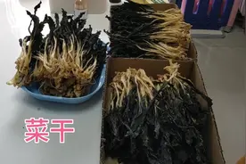 秋天晒菜干最好的季节，菜干晒好放二年都不会坏。